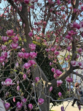 ����� ������ ��� ������� � ������ ����� 6 ������