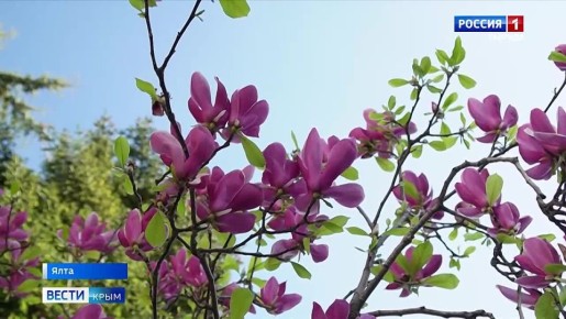 � ���� ������� ��������: ����� ������� ������ � �������� ���� ������ � ����� ������