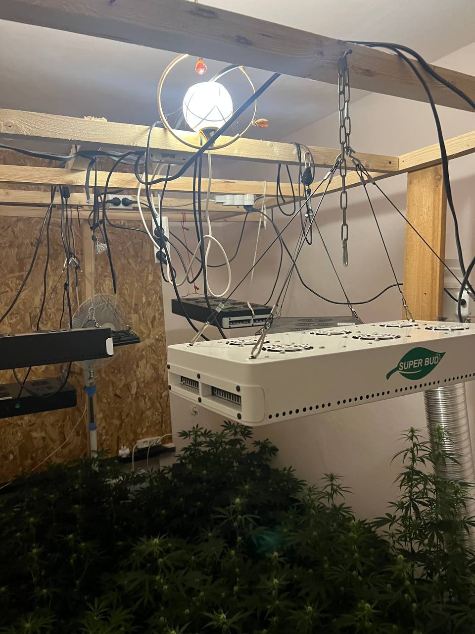 В Кировском районе за хранение запрещенных веществ к лишению свободы осужден местный житель В Кировском районе за хранение запрещенных веществ к лишению свободы осужден местный житель