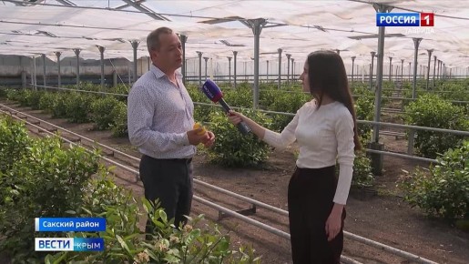 Крымский агротуризм: как фермер превратил лимоны в дело жизни?