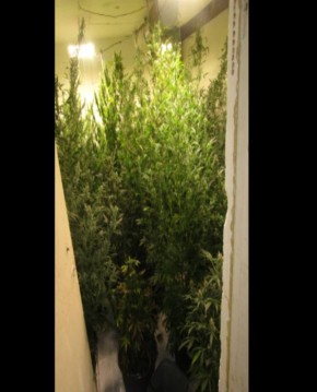 �� ����������� ������� � �������� ��������� ������ ���������� ������ ������� � ����