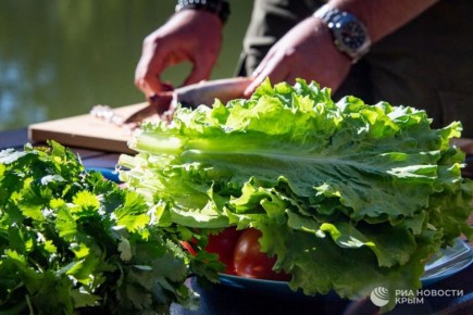 ��������� ������: ��� ���� ������ ������� ���������� �� ����� �������� �����?