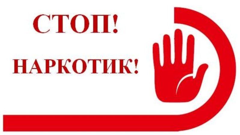 ����������������� �������� ��������������� ������ �����������