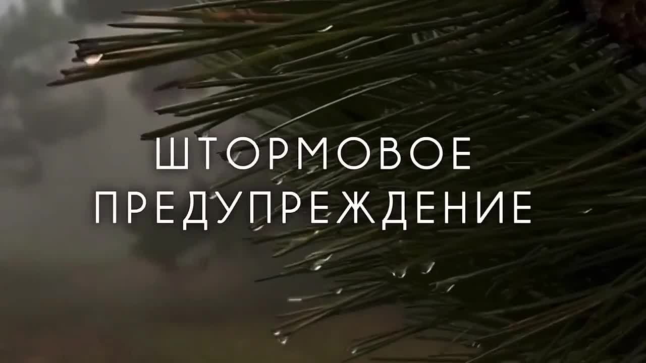 Штормовое предупреждение. 7 и 8 апреля в связи с прохождением холодного фронтального раздела 7 и 8 апреля в Крыму ожидаются дожди, в южных и восточных районах сильные