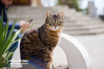 ������ ����, ���������!. ����������� ������� ���������� ������� �� +16��