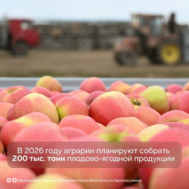 Площадь садов в Крыму почти достигла 17 тыс Площадь садов в Крыму почти достигла 17 тыс