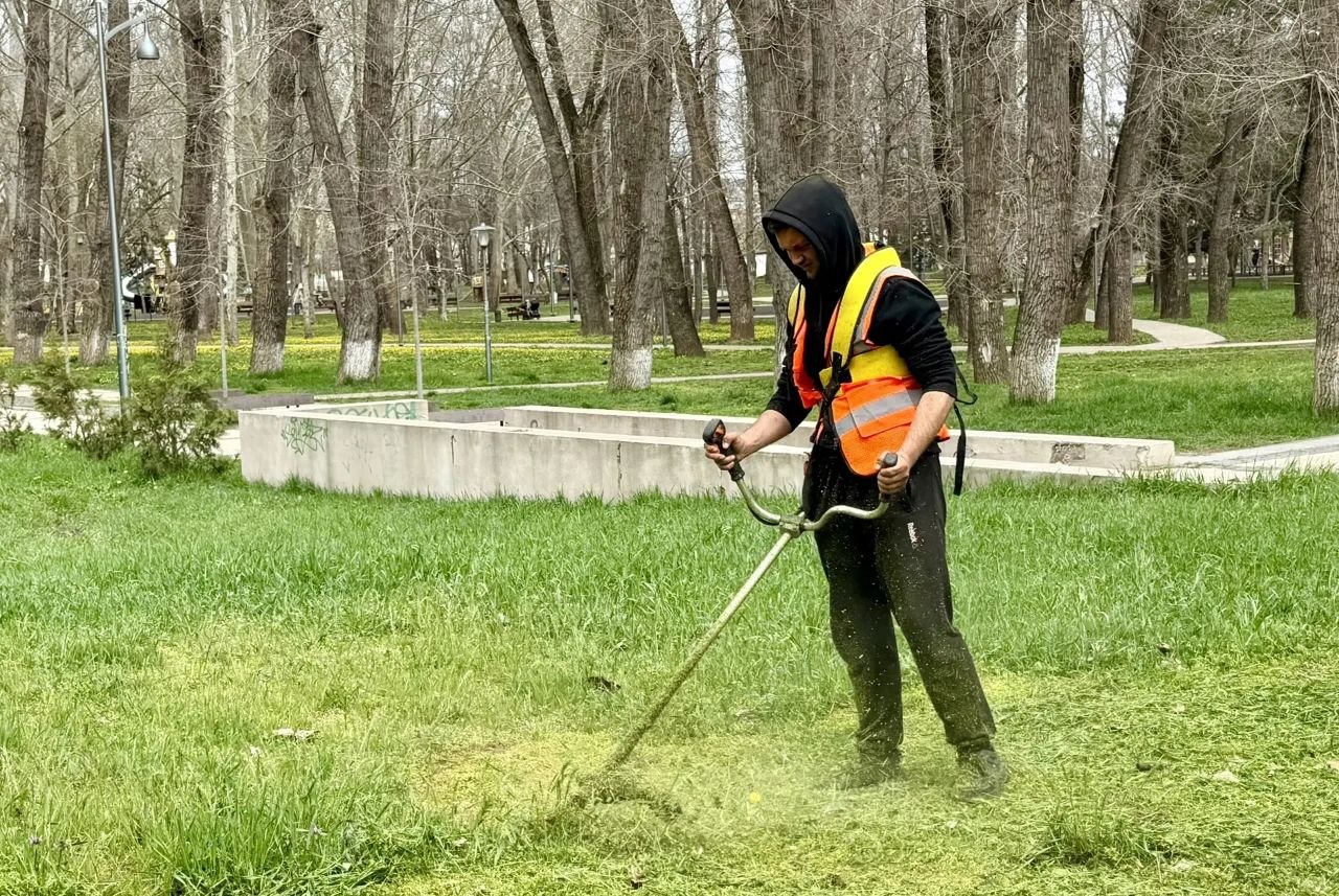 В парках и скверах Симферополя начался активный покос травы В парках и скверах Симферополя начался активный покос травы