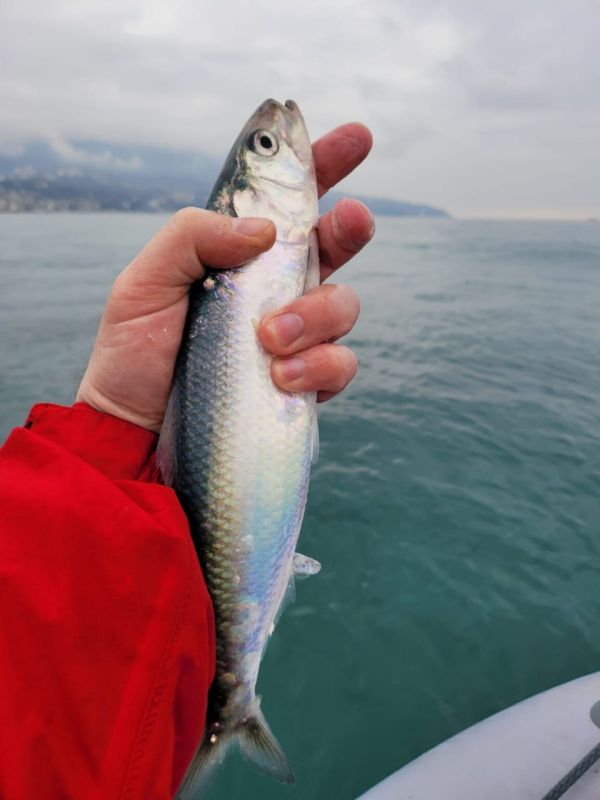 � ����� ��������� ���� �� ����� �������� ������� ��� ������� � ������� ��� �����������-�������� ������