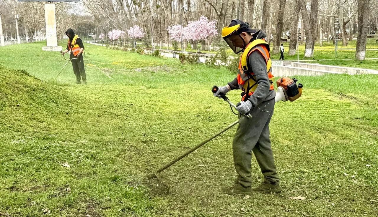 В парках и скверах Симферополя начался активный покос травы
