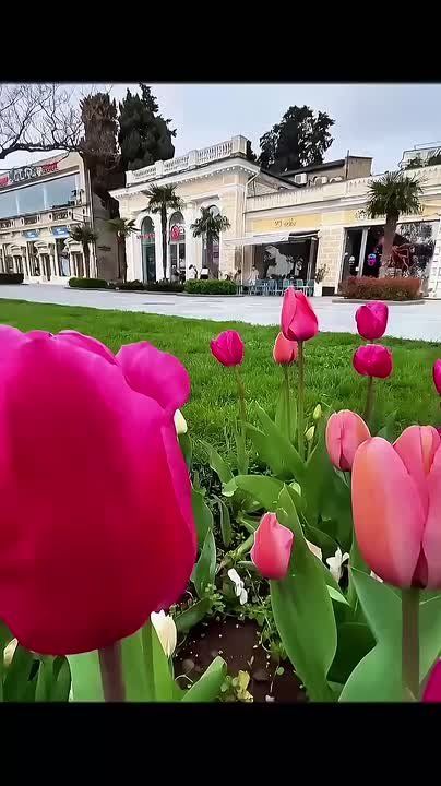 ����� ��������: � ������ �������� �������� �����, ������! � � ������� �������� ������