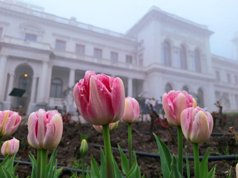 ����������� ������ � �������� ������