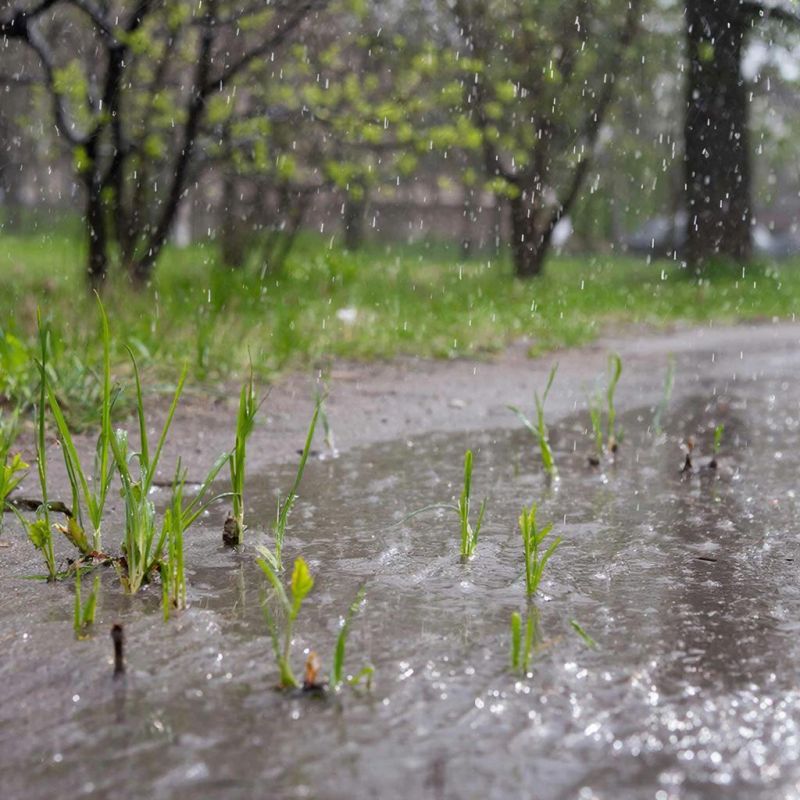 7 � 8 ������ � ����� ��������� ����� � ������� �����