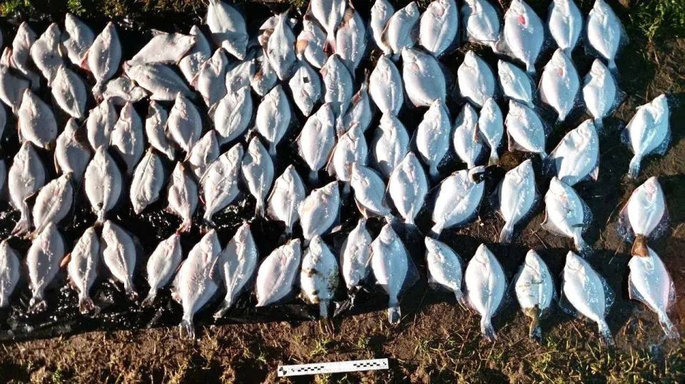 В Херсонской области завершено расследование уголовного дела о незаконной добыче водных биологических ресурсов В Херсонской области завершено расследование уголовного дела о незаконной добыче водных биологических ресурсов