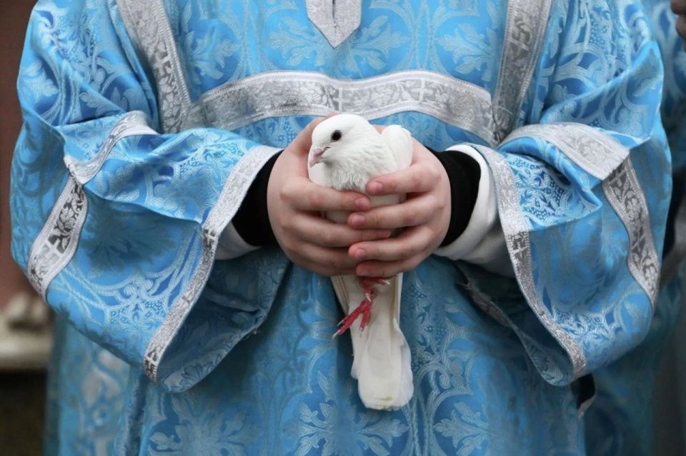 ��������� ��������: ������������ ��������� ���������� � ������� �������� ������� � �����! ���������� ������������ �������� � ���� ������� ����!