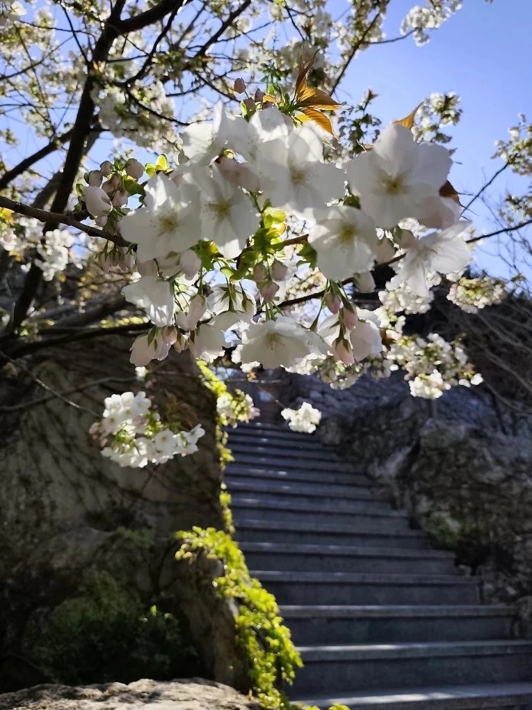 Севастопольская весна прекрасна в любую погоду! Севастопольская весна прекрасна в любую погоду!