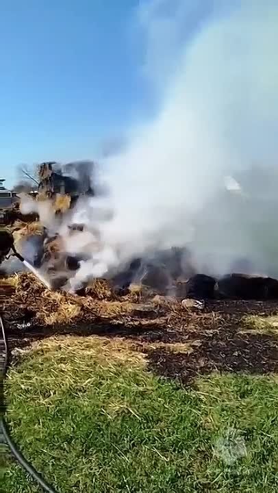 ������ ����� �� �������: 10-������ ������� ������� ����� � ����������������� ������