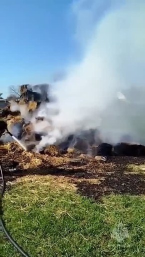 ������ ����� �� �������: 10-������ ������� ������� ����� � ����������������� ������