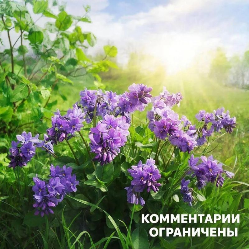 ���� �����: ��������� ��������� ������ ����������!