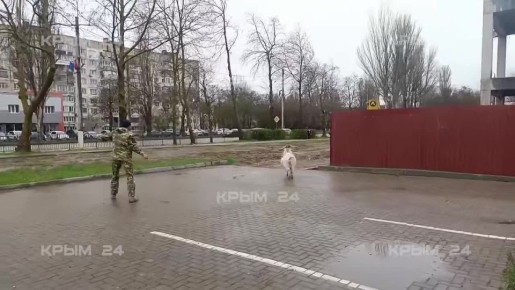 ��������� ���� � ����� ���� ����� � ���������� �������