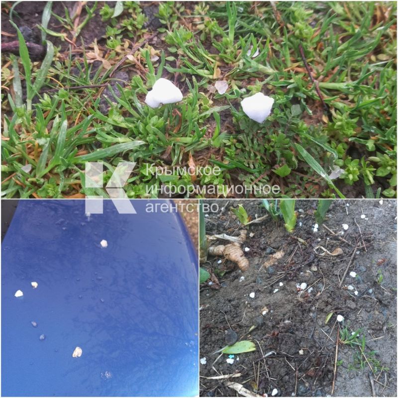 ���� � ��������������� ������