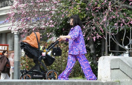 ������� ������ � ����� �� �������