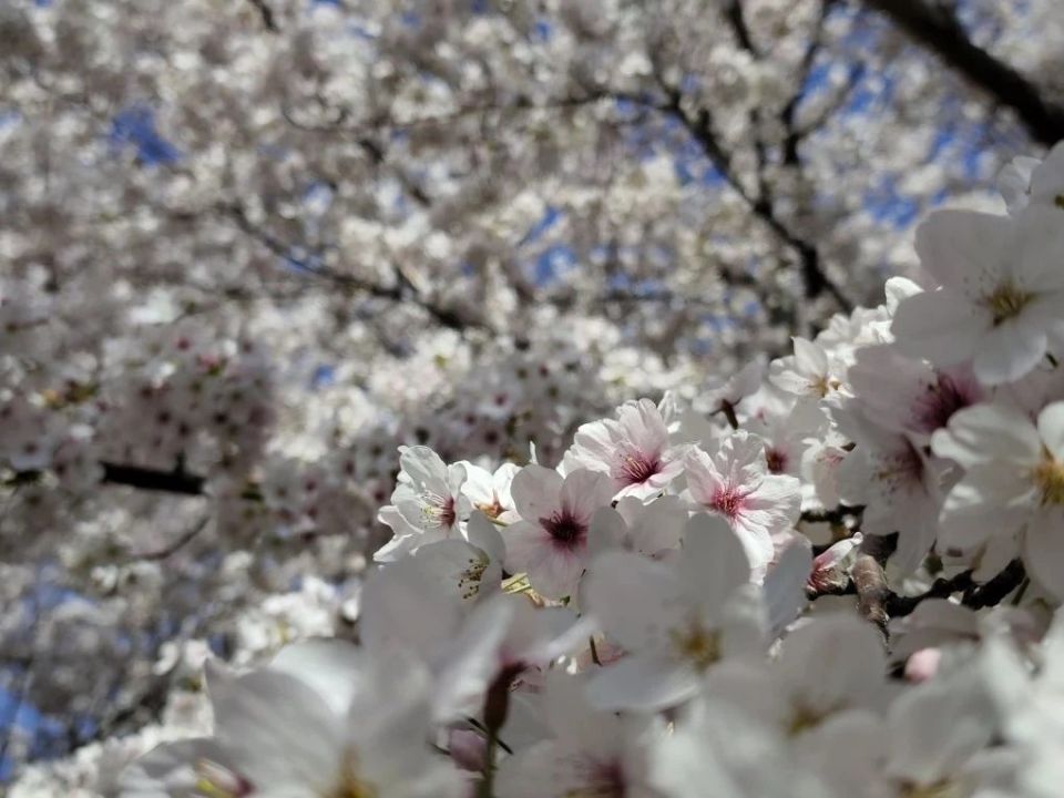 ��������������� ����� ��������� � ����� ������!