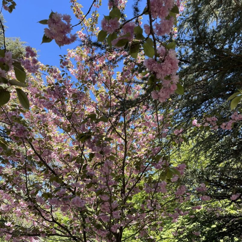 Прогноз погоды в Крыму на 7 апреля