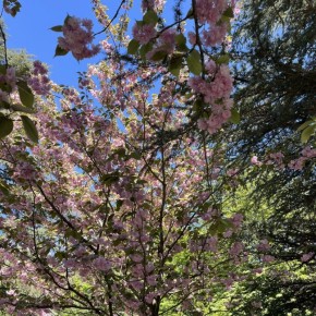 ������� ������ � ����� �� 7 ������