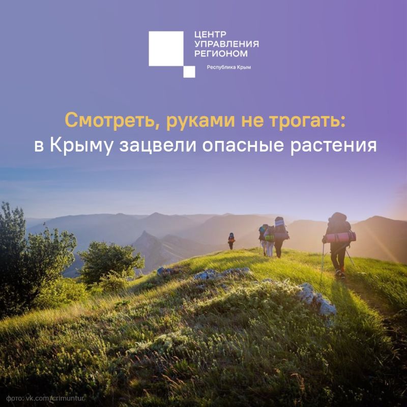 � ����� ������� ����� ��������, �� ����� ���� ������� ���� ��������, ������� ������ ��� ��������