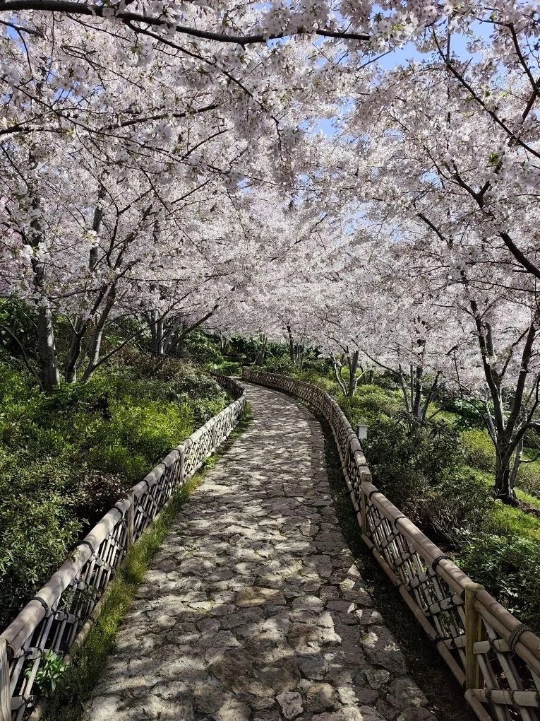 Севастопольская весна прекрасна в любую погоду! Севастопольская весна прекрасна в любую погоду!