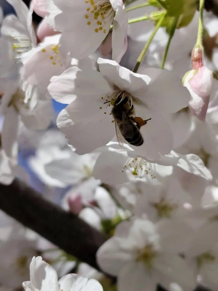 Севастопольская весна прекрасна в любую погоду! Севастопольская весна прекрасна в любую погоду!