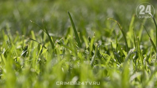 ����� ���������� ������ ������� �� �����������