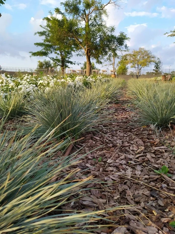 Холодный фронтальный раздел принес на Крымский полуостров серьёзное ухудшение погоды - сильный ветер и обильные осадки