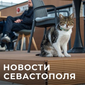 ������ ���������: ������� � �������:. �������� � ������� ����������: