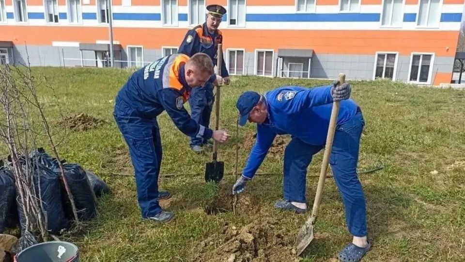 Пожарные Павловки продолжают озеленение территории Пожарные Павловки продолжают озеленение территории
