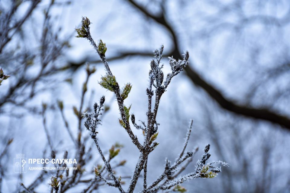 � ����� ��������� ���������