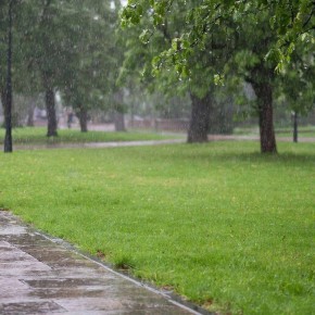 ����� ������ ��� ������� � ������ ����� 8 ������