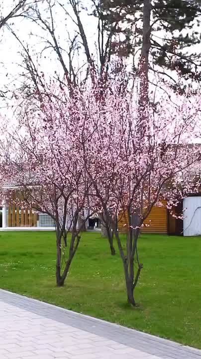 ������ � ����������� � ����� ������ ����� ������