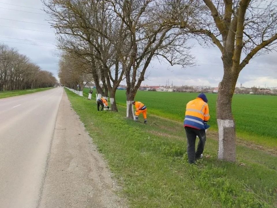 Белим деревья во въездных группах — наводим порядок там, где начинается населённый пункт Белим деревья во въездных группах — наводим порядок там, где начинается населённый пункт