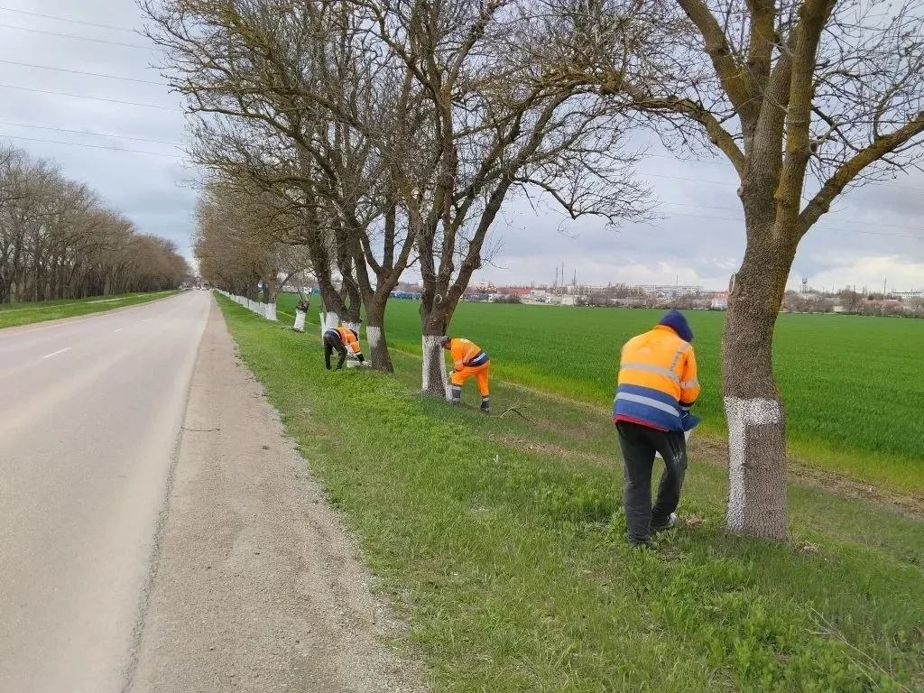 Белим деревья во въездных группах — наводим порядок там, где начинается населённый пункт Белим деревья во въездных группах — наводим порядок там, где начинается населённый пункт