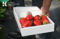 Клубничный сезон в Крыму открыт