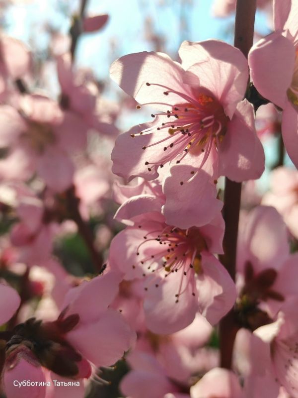 �������� ���������� �����