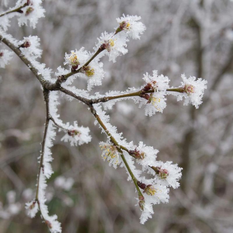 �� �������� � ����� ��������� ���������