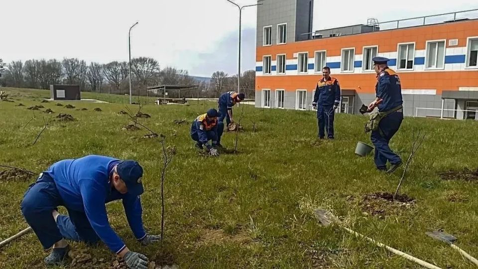 Пожарные Павловки продолжают озеленение территории Пожарные Павловки продолжают озеленение территории