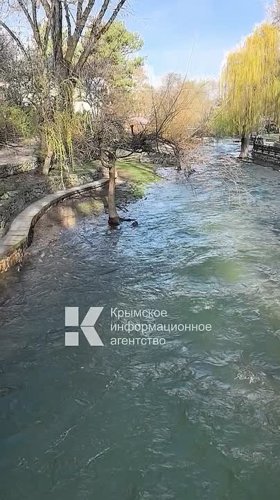 Весенний Салгир после недавних дождей