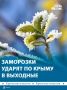 Первые весенние заморозки ударят по Крыму в конце недели