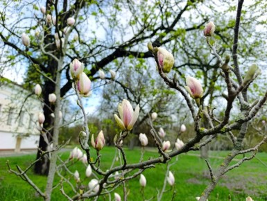 � ����������� ������� ���� �� ����� �������� ������� � ������� ��������