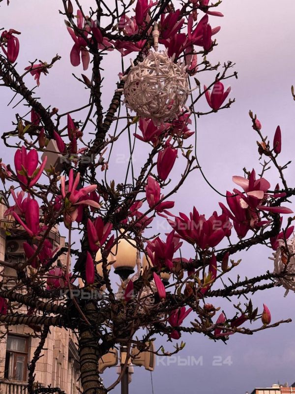 �������� ������� � ������ �����������