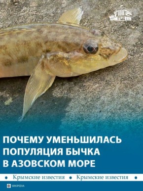 ��������� ����� ����������� � �������� ����: ������ ��������� �������� ���������� ����������� ����