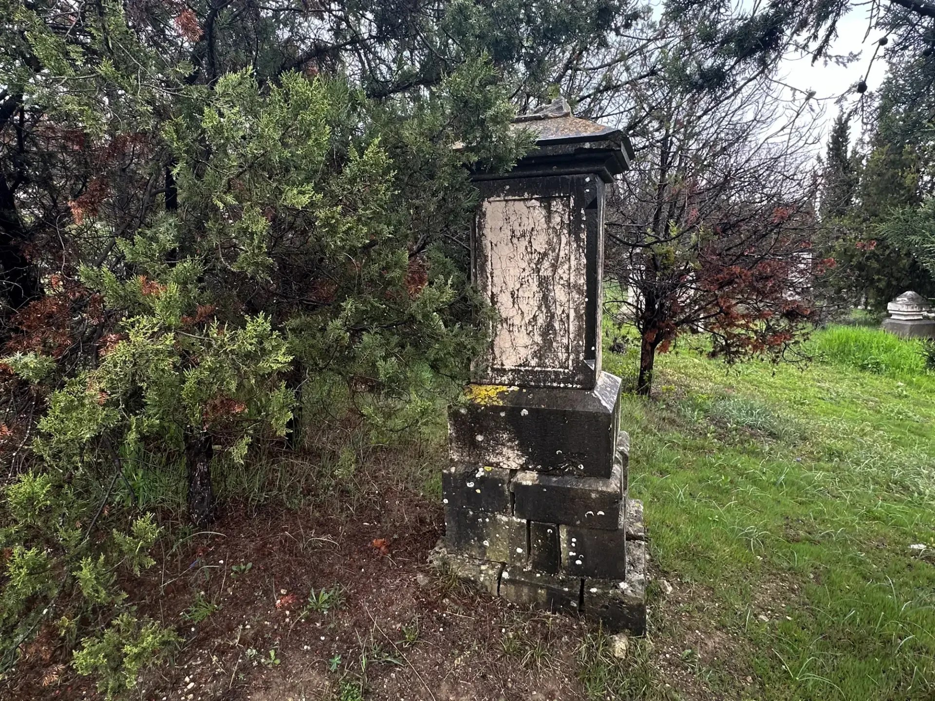 Захоронения на Братском кладбище защитников Севастополя приведут в порядок Захоронения на Братском кладбище защитников Севастополя приведут в порядок